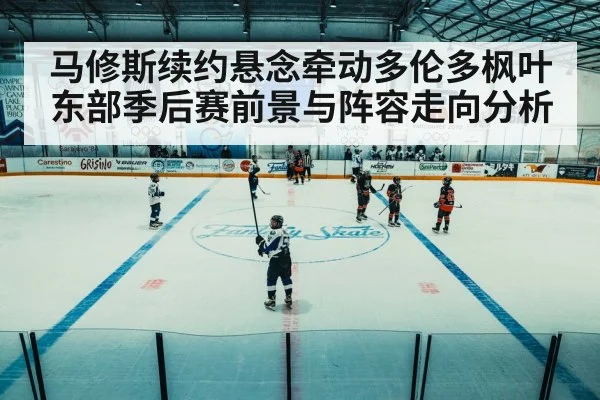 hockey arena game action