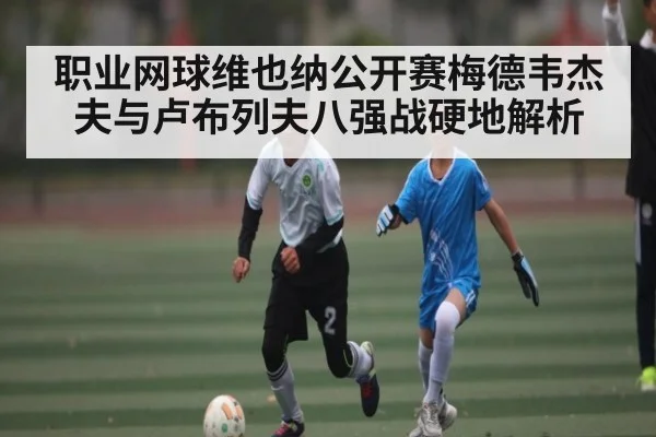 职业网球维也纳公开赛梅德韦杰夫与卢布列夫八强战硬地解析